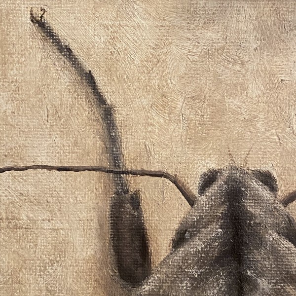 Hawk Moth Detail 1 (600 x 600)